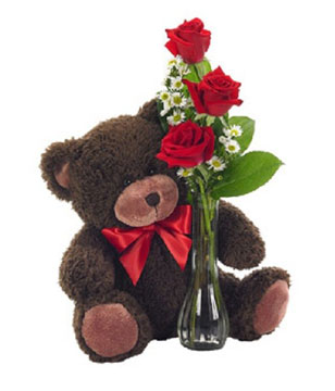 red roses and teddy bear 