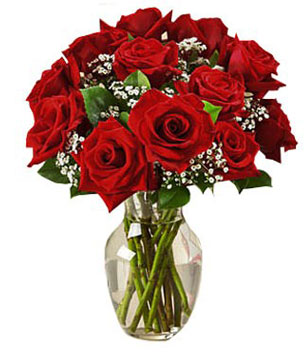 12 red roses and 2 stems baby's breath
