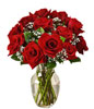 12 red roses and 2 stems baby's breath