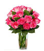 18 bi-color pink roses