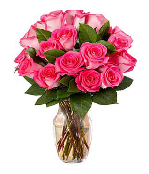 18 bi-color pink roses