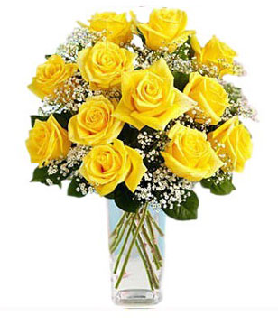 12 yellow roses