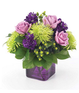 spider mums, purple stock, roses and hypericum in a trendy purple cube vase 