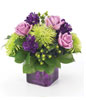 spider mums, purple stock, roses and hypericum in a trendy purple cube vase 