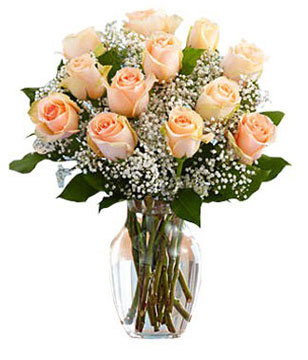 12 peach roses and 3 stems baby's breath