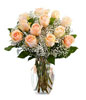 12 peach roses and 3 stems baby's breath