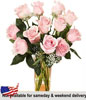 12 Long Stemmed Pink Roses in Square Vase 