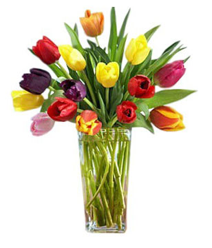 15 Multi Colored Tulips Hand Bouquet