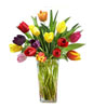 15 Multi Colored Tulips Hand Bouquet