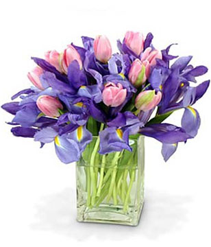 assortment of pastel pink tulips and blue iris