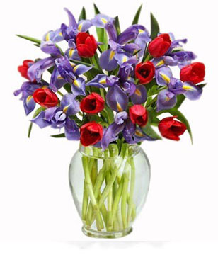 12 Red Tulips and a Dozen Iris 