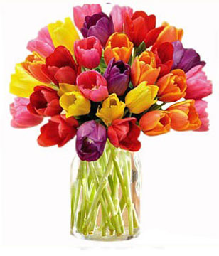 30 Multi Colored Tulips Bouquet