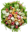 11 pink roses, 11white roses, 11 champagne roses 