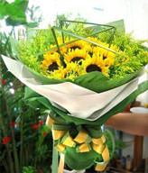 11 SunFlowers, Let the sun shine today