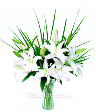 5 white Lilium