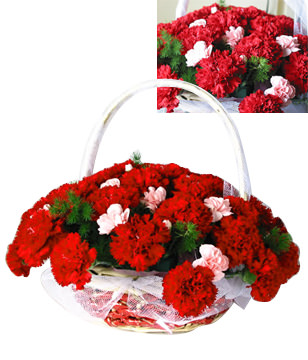 50 Red carnations
