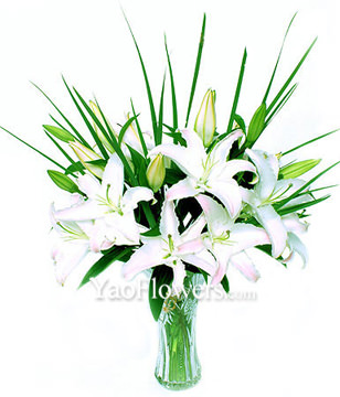 5 White(pink) Lilium with baby's breath