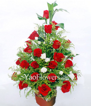 33 Red Roses,Fugui Bamboo, White Carnations