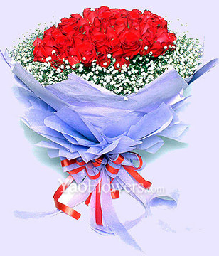 99 Red roses, green foliages