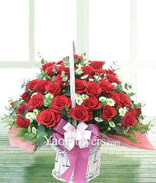 66 red roses, aster, with grass