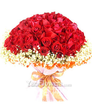 66 red roses
