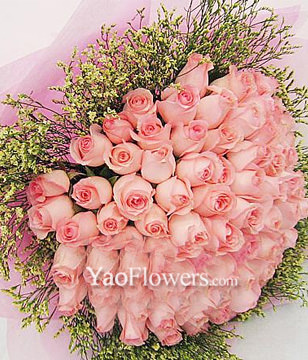 66 pink roses