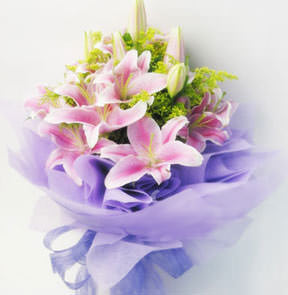 12 pink lilies with green foliages