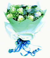 11 white roses
