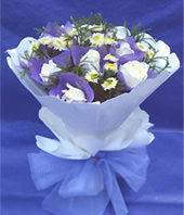 11 white roses
