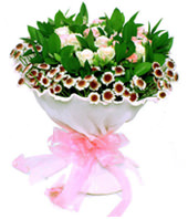 12 champagne roses