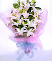6 White Lilium