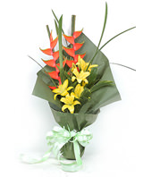 3 yellow lilies with Iris