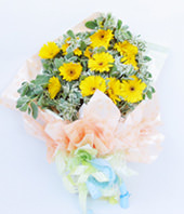 12 yellow daisies