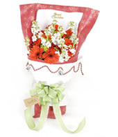 12 red daisies,8 white wall flower