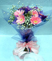 8 daisies