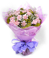 12 pink carnations