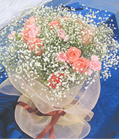 11 pink roses,11 pink carnations