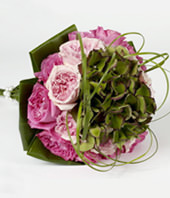20 Purple roses with green foliages