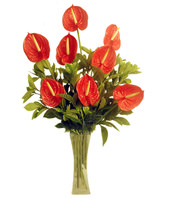 Anthurium 8, gardenia leaves
