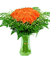 19 Pink roses as round with green foliages
