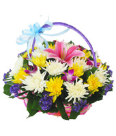 11 yellow chrysanthemums, white chrysanthemums 11