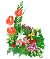 3 flamingo flowers, white lily, 6 red carnations