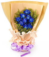 9 Blue Roses
