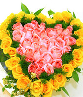 Red Rose, yellow roses,a total of 66 roses
