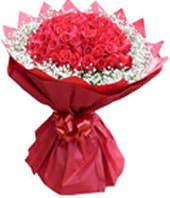 66 Hot red roses wrapped by red circular cotton paper