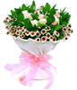 12 champagne roses