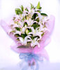 12 White Lilium