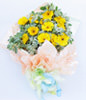 12 yellow daisies