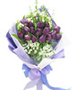 20 purple tulip