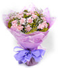 12 pink carnations
